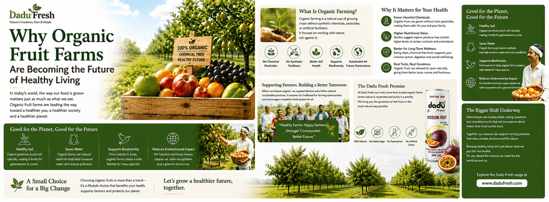 Why Organic Fruit Farms Are Becoming the Future of Healthy Living