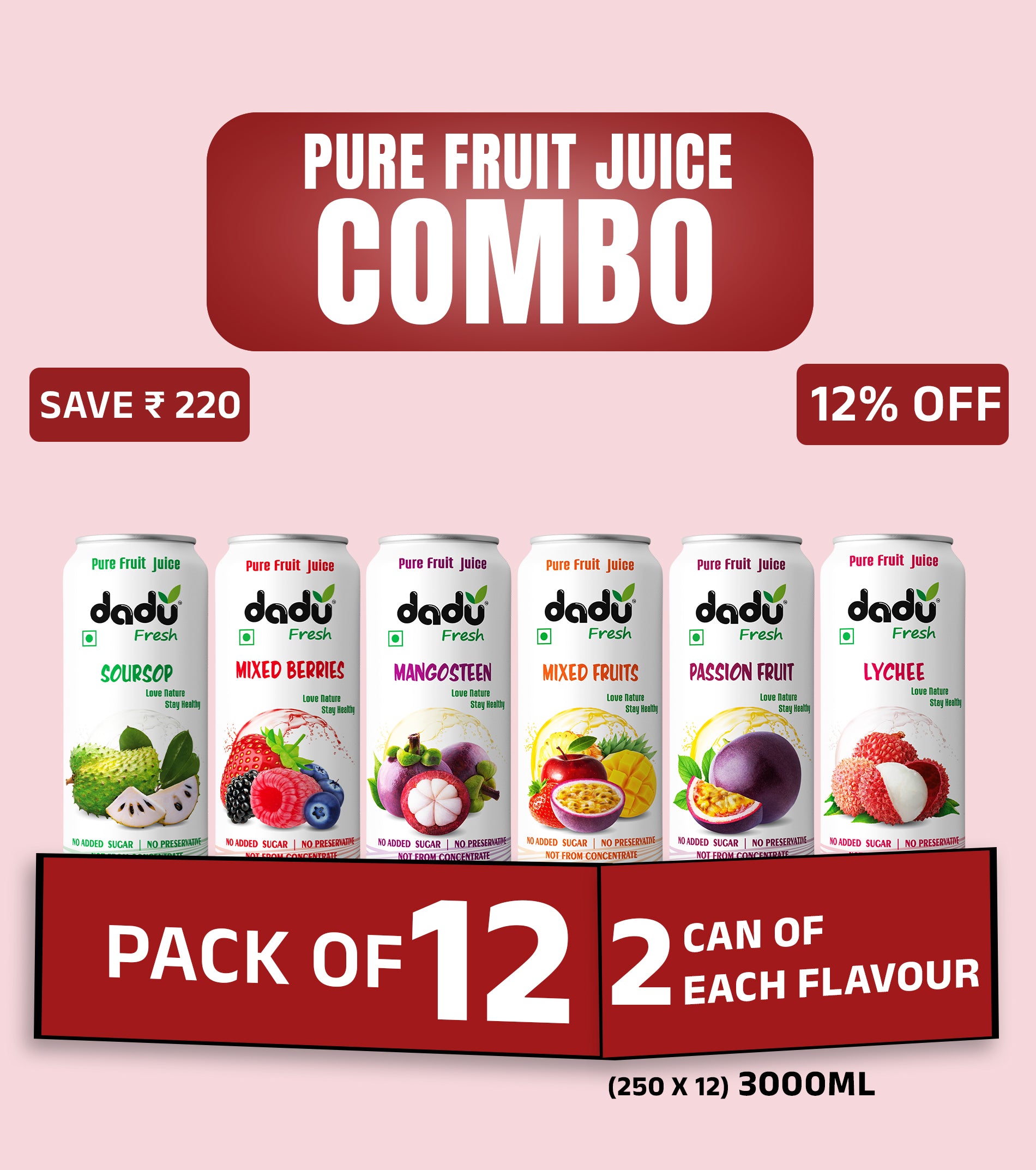Combo Pack of 12 (12 x 250ml | Total 3000ml) – ₹149 per Can