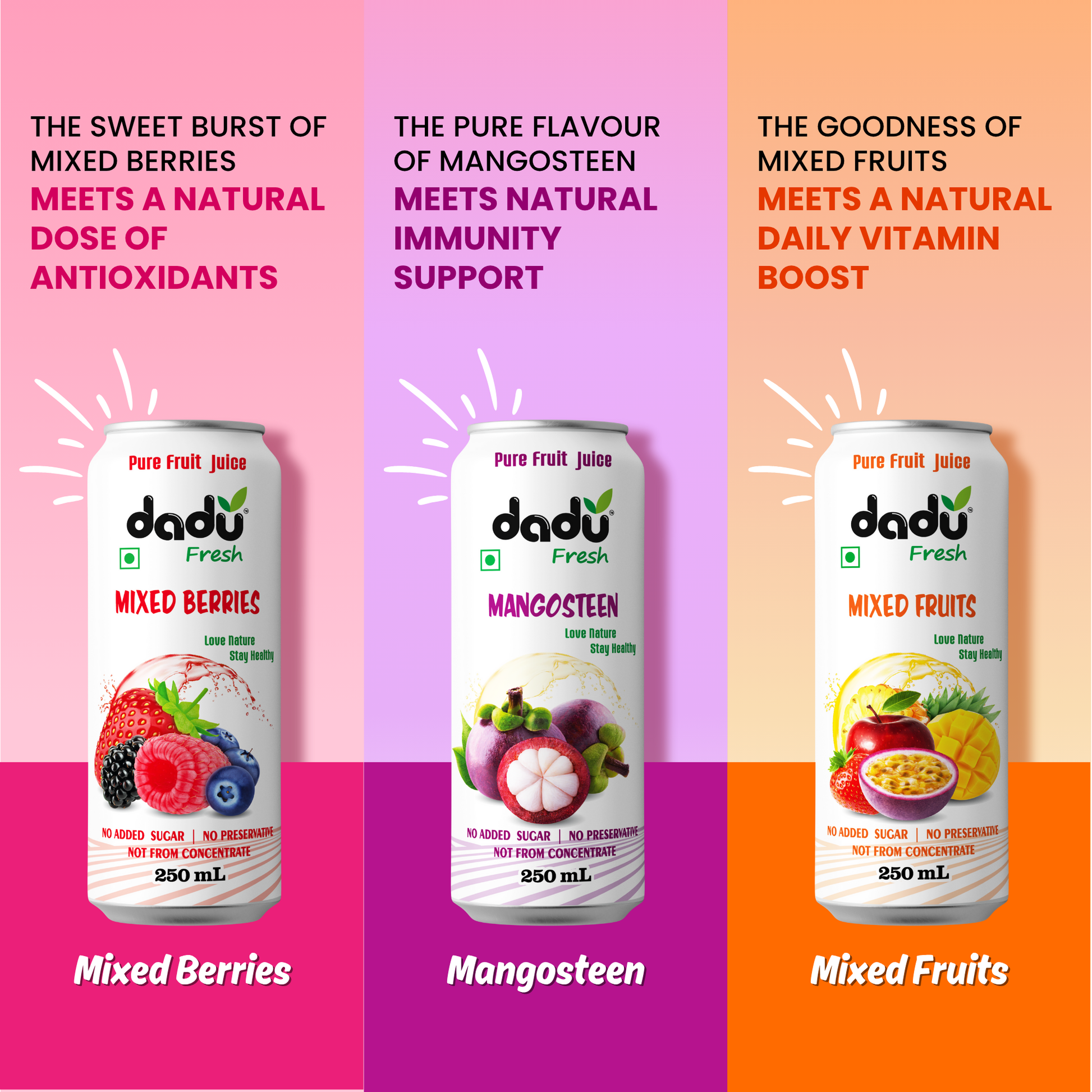 Dadu Fresh Soursop, Passion Fruit, Mixed Fruit, Lychee, Mixed Berries & Mangosteen Juice | 100% Pure Fruit Juice | No Added Sugar & No Preservatives | 250ml x Pack of 24 - Dadu Fresh