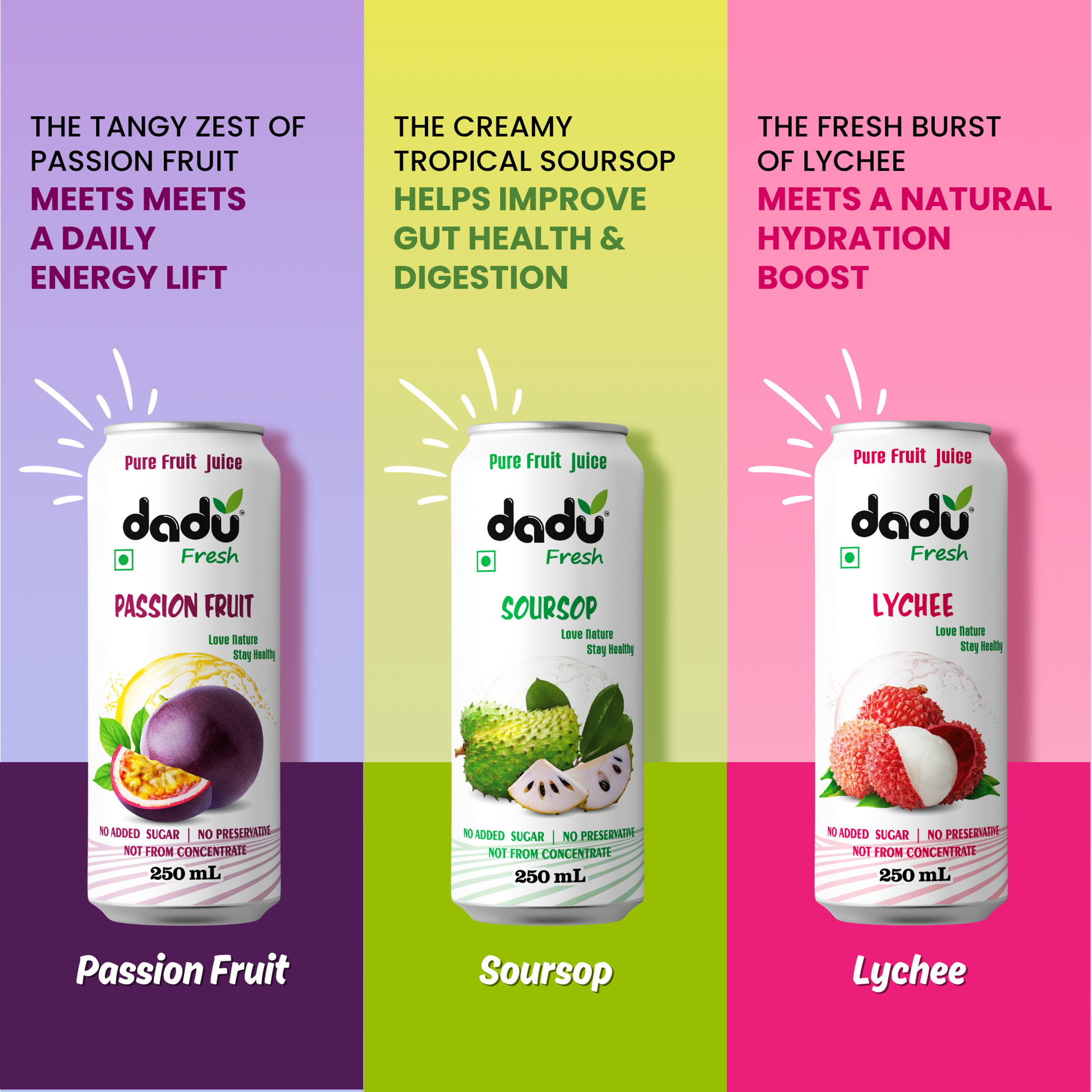 Dadu Fresh Soursop, Passion Fruit, Mixed Fruit, Lychee, Mixed Berries & Mangosteen Juice | 100% Pure Fruit Juice | No Added Sugar & No Preservatives | 250ml x Pack of 24 - Dadu Fresh