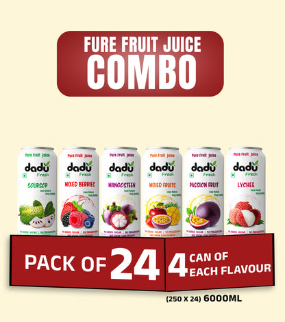 Fruit Juice Combo Pack of 24 | 24 Cans x 250ml (6000ml) | 149.00 per Can
