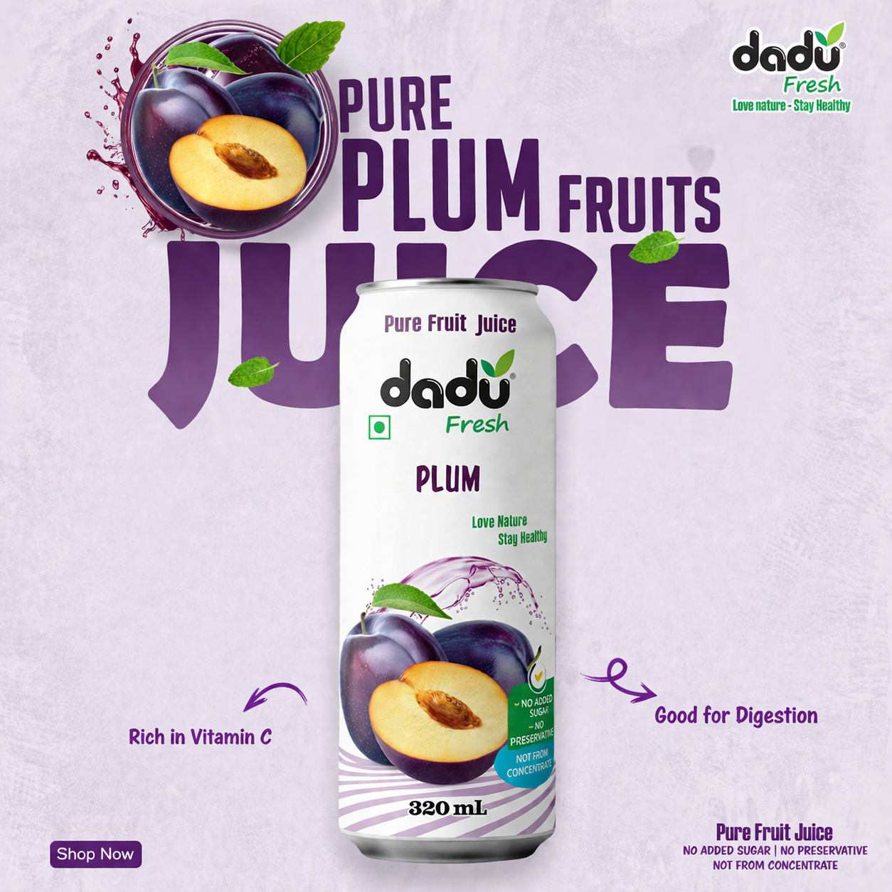 Dadu Fresh Plum Juice | 100% Pure Fruit Juice | No Added Sugar & No Preservatives | 320ml x Pack of 6 - Dadu Fresh