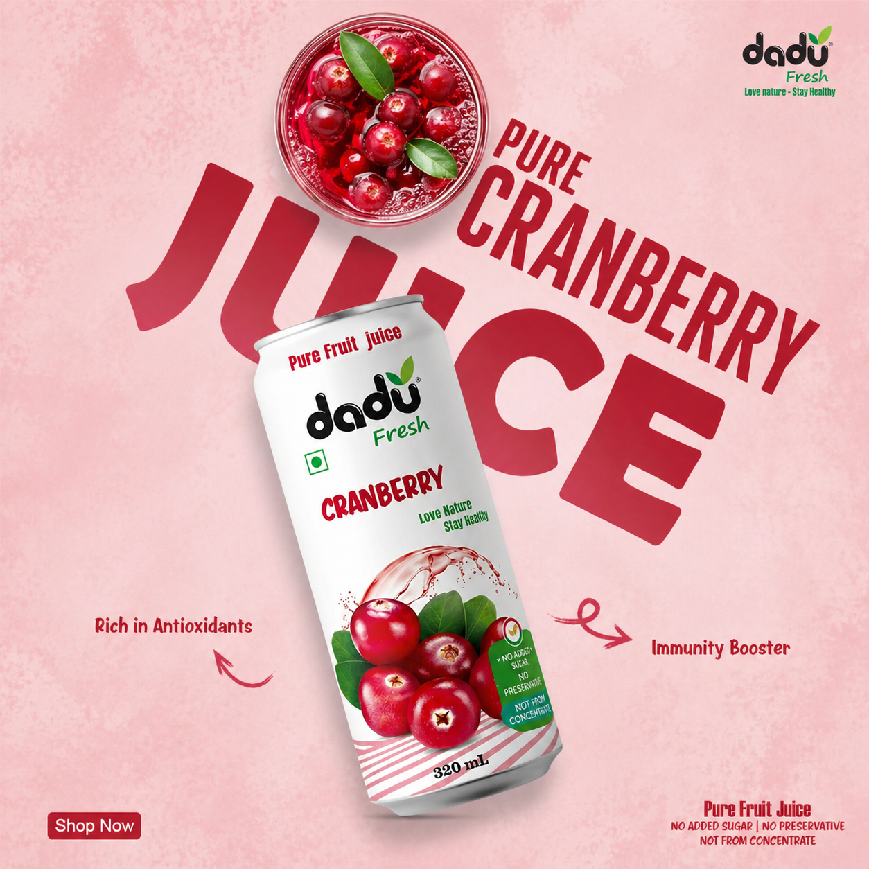 Dadu Fresh Cranberry Juice | 100% Pure Fruit Juice | No Added Sugar & No Preservatives | 320ml x Pack of 6 - Dadu Fresh