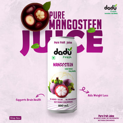 Dadu Fresh Mangosteen Juice | 100% Pure Fruit Juice | No Added Sugar & No Preservatives | 250ml x Pack of 6 - Dadu Fresh