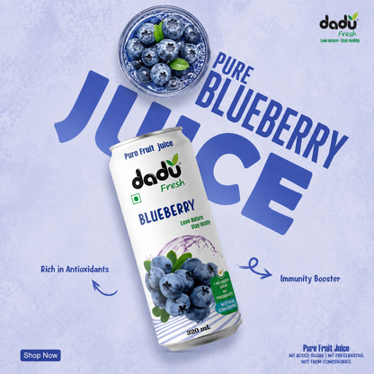 Dadu Fresh Blueberry Juice | 100% Pure Fruit Juice | No Added Sugar & No Preservatives | 320ml x Pack of 6 - Dadu Fresh
