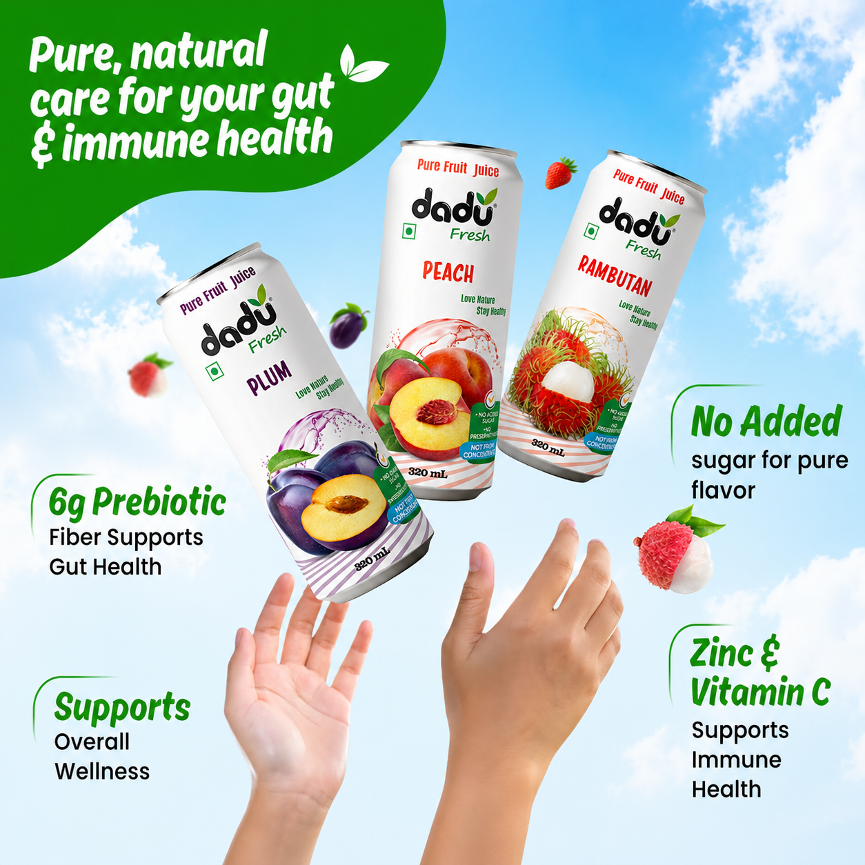 Dadu Fresh Avocado & Mango, Rambutan, Peach, Blueberry, Cranberry & Plum Juice | 100% Pure Fruit Juice | No Added Sugar & No Preservatives | 320ml x Pack of 6 - Dadu Fresh