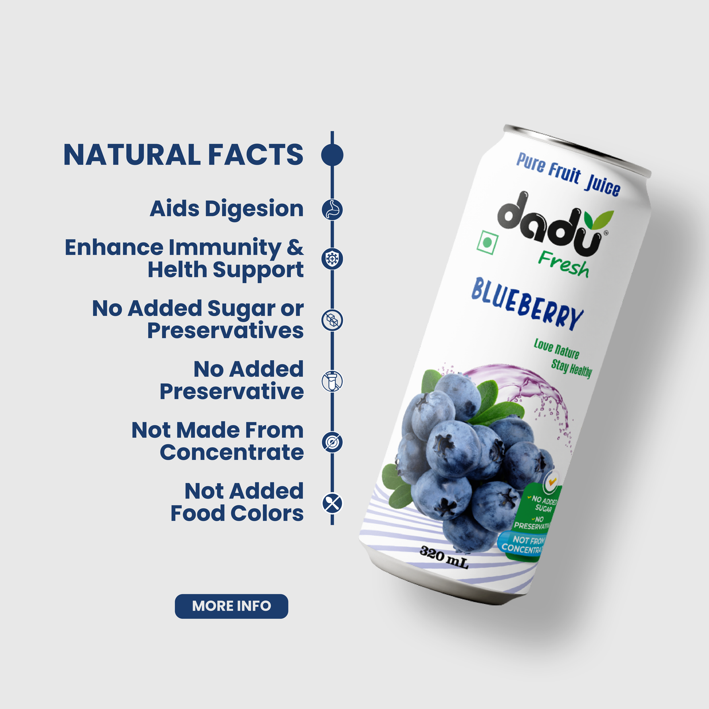 Dadu Fresh Blueberry Juice | 100% Pure Fruit Juice | No Added Sugar & No Preservatives | 320ml x Pack of 6 - Dadu Fresh