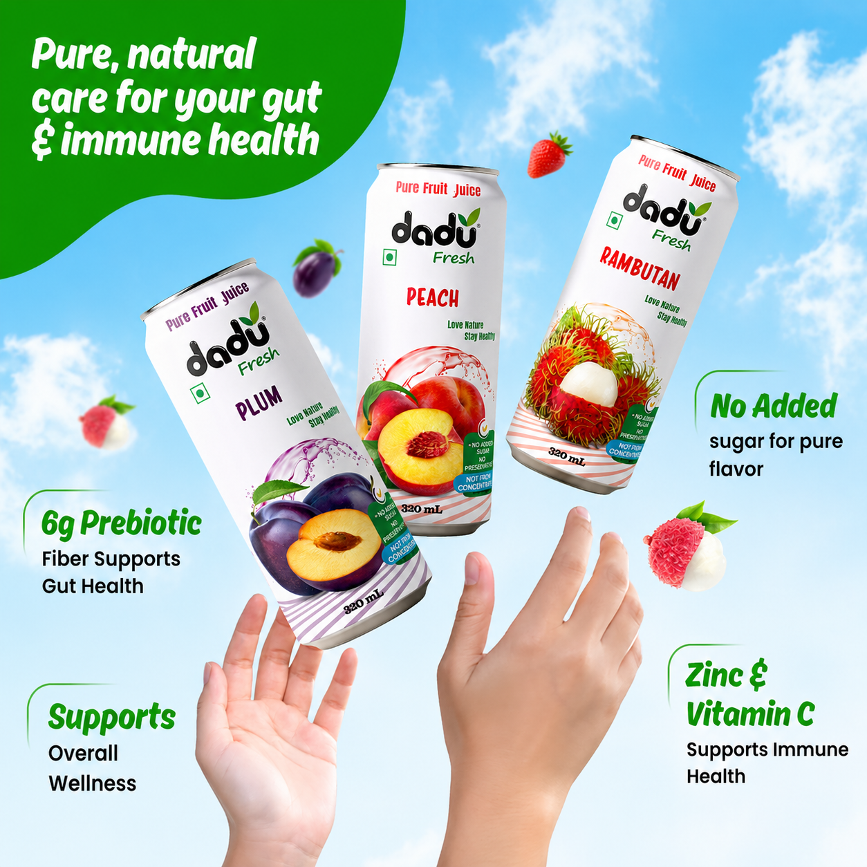 Dadu Fresh Avocado & Mango, Plum, Mangosteen, Rambutan Juice | 100% Pure Fruit Juice | No Added Sugar & No Preservatives | Pack Of 4 (250ml x 1 Cans & 320ml x 3 Can) - Dadu Fresh