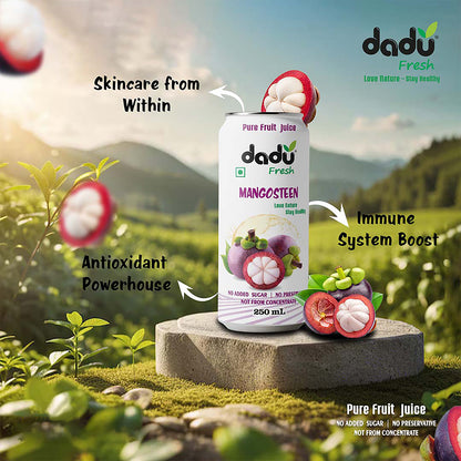 Dadu Fresh Mangosteen Juice | 100% Pure Fruit Juice | No Added Sugar & No Preservatives | 250ml x Pack of 6 - Dadu Fresh