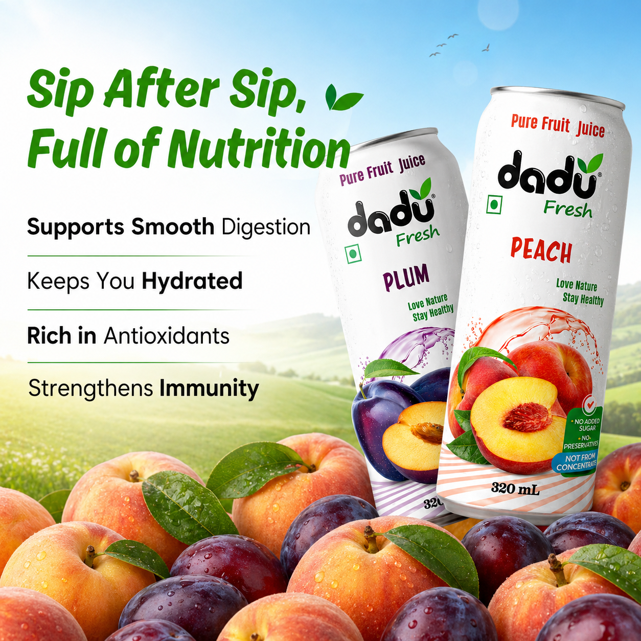 Dadu Fresh Lychee, Peach, Rambutan, Avocado & Mango, Plum, Mangosteen Juice| 100% Pure Fruit Juice | No Added Sugar & No Preservatives | Pack Of 6 (250ml x 2 Cans & 320ml x 4 Can) - Dadu Fresh