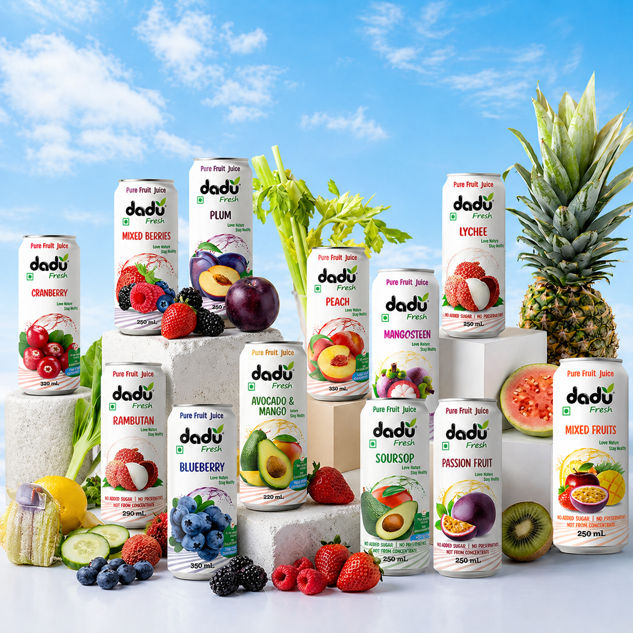 Dadu Fresh Plum, Peach, Avocado and Mango, Cranberry Juice | 100% Pure Fruit Juice | No Added Sugar & No Preservatives | 320ml x Pack of 4 - Dadu Fresh