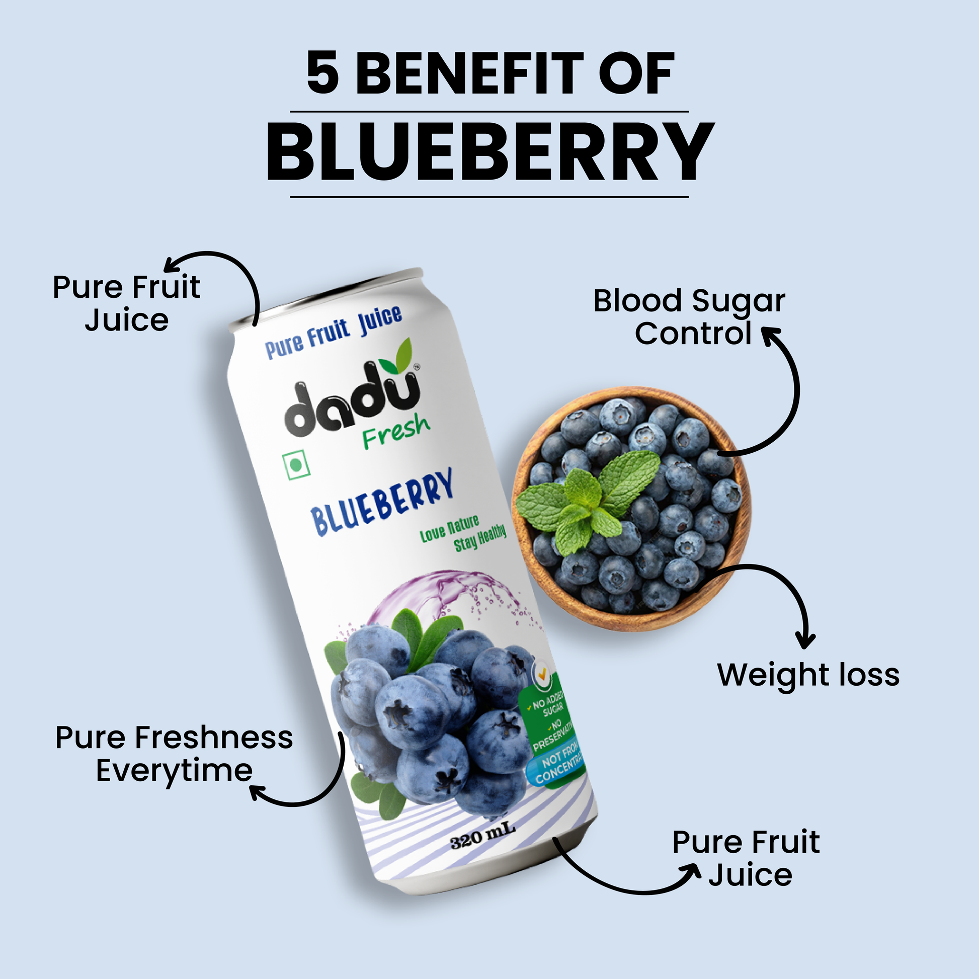 Dadu Fresh Blueberry Juice | 100% Pure Fruit Juice | No Added Sugar & No Preservatives | 320ml x Pack of 4 - Dadu Fresh