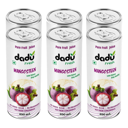 Dadu Fresh Mangosteen Juice | Pure Natural Juice | Not from Concentrate | No Added Sugar | No Preservatives or Artificial Flavors | Rich in Antioxidants & Vitamin C | 250ml (Pack of 6)
