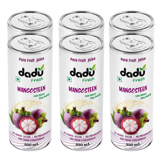 Dadu Fresh Mangosteen Juice | Pure Natural Juice | Not from Concentrate | No Added Sugar | No Preservatives or Artificial Flavors | Rich in Antioxidants & Vitamin C | 250ml (Pack of 6)