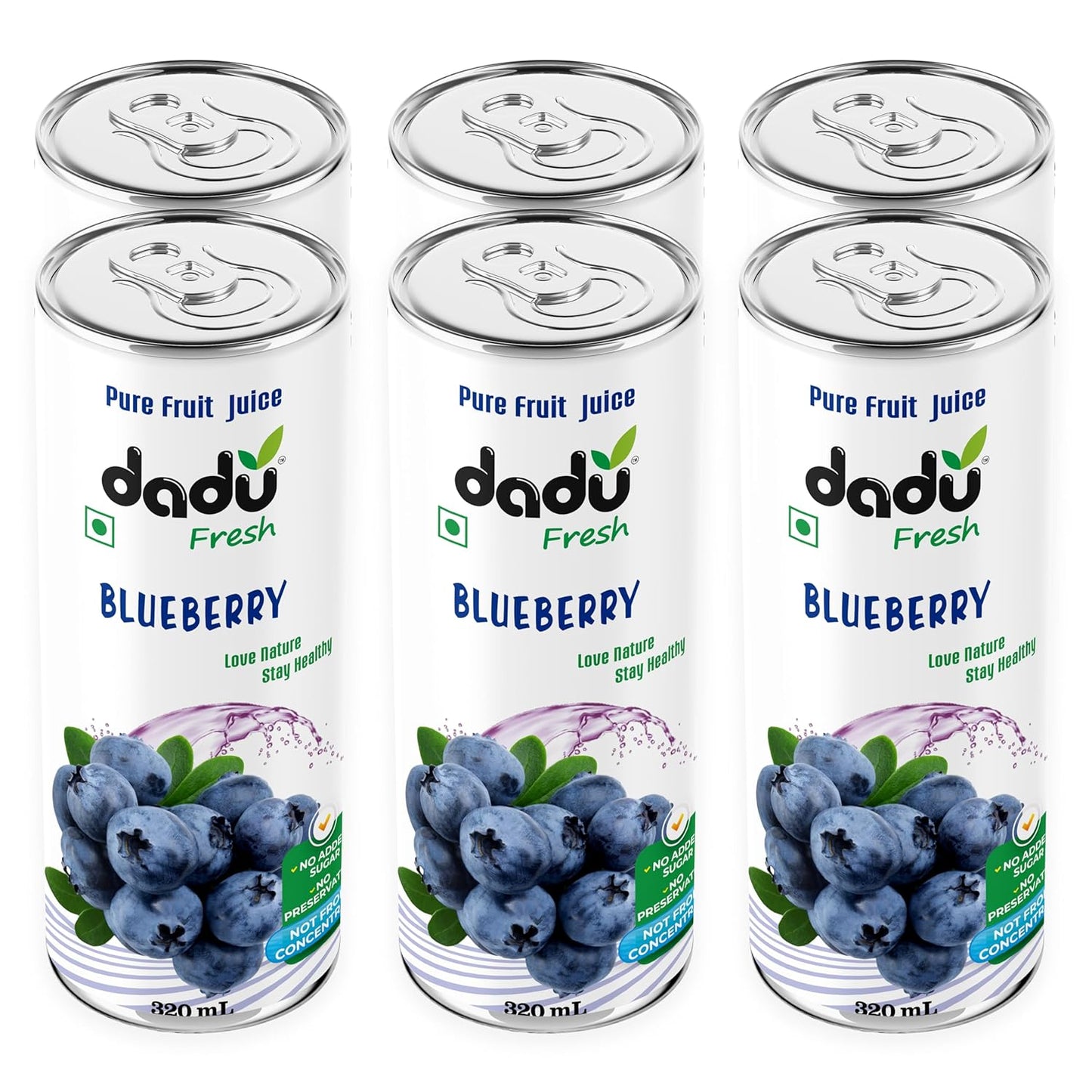 Dadu Fresh Blueberry Juice | Pure Natural Fruit Healthy Beverage | Not from Concentrate, No Added Sugar, No Preservatives or Artificial Flavours | Vitamin Rich & Naturally Refreshing | 6 Cans x 320ml (1920ml)