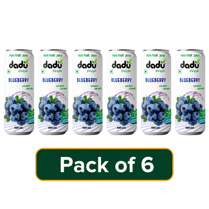 Dadu Fresh Blueberry Juice | 100% Pure Fruit Juice | No Added Sugar & No Preservatives | 320ml x Pack of 6 - Dadu Fresh
